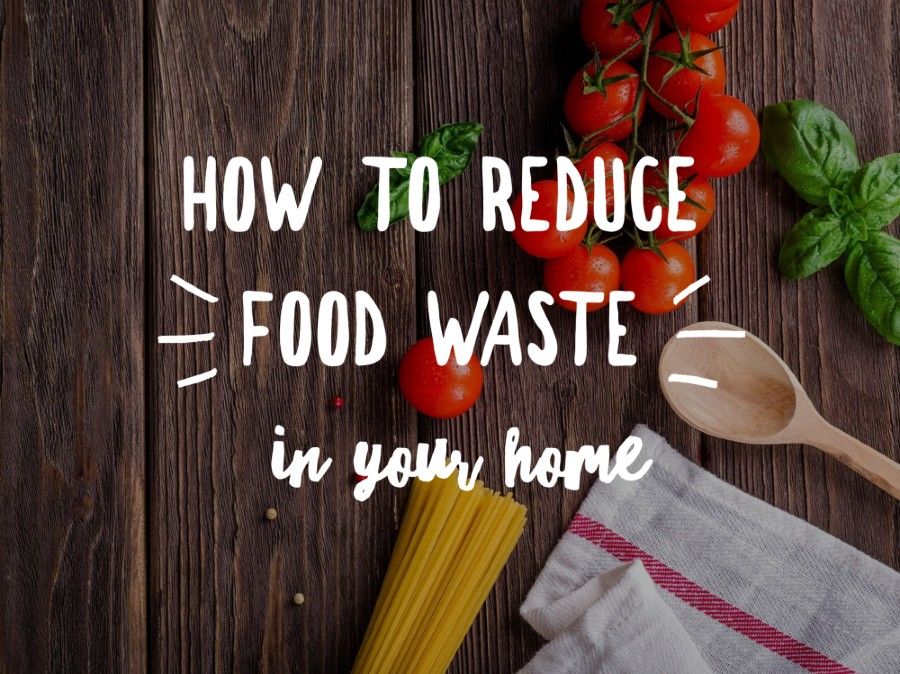 Feature Article: How to reduce food waste in your home